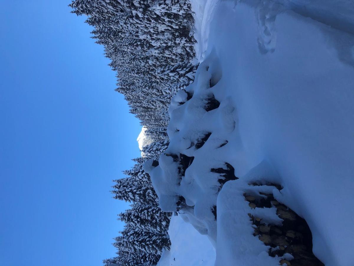Alpapart - Innsbruck Ellbogen Luaran gambar