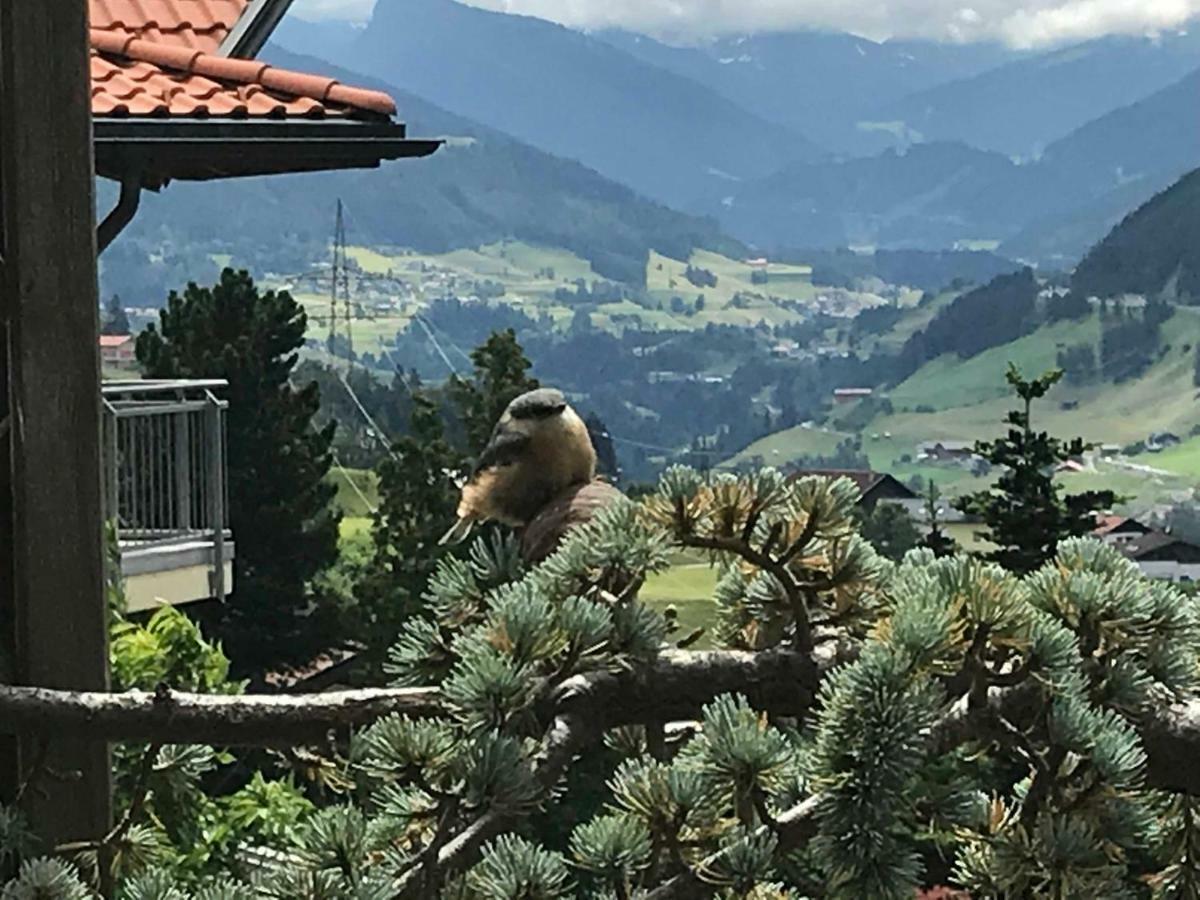 Alpapart - Innsbruck Ellbogen Luaran gambar